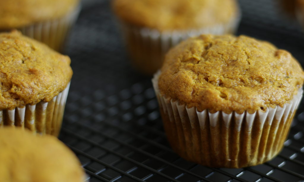 Forte Recipes: Harvest Pumpkin Muffins