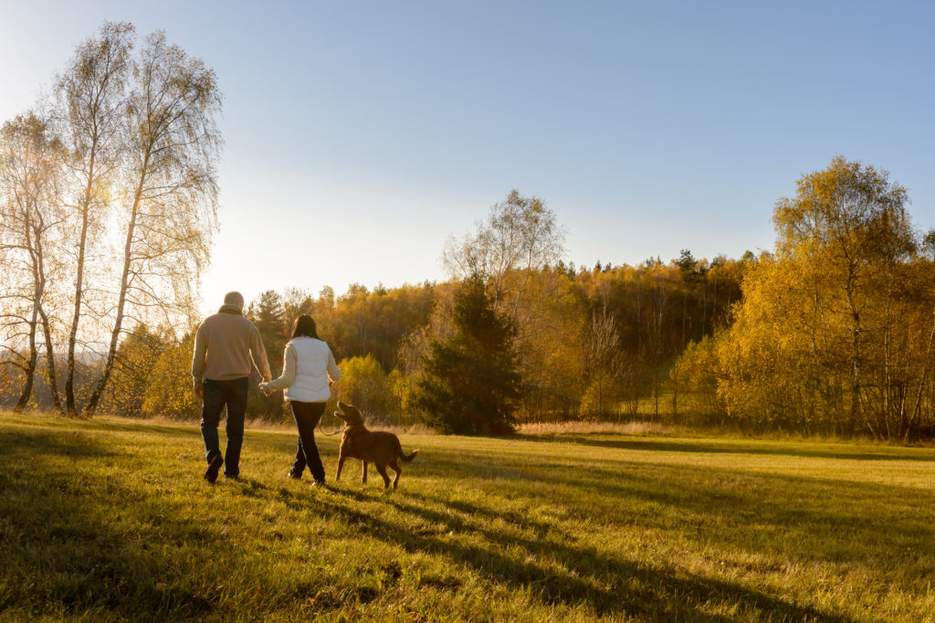Couple Reducing Joint Stiffness by Walking the Dog